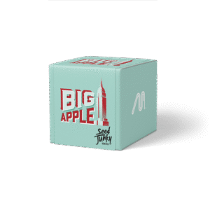 Cookies BIG APPLE BADDER concentrate