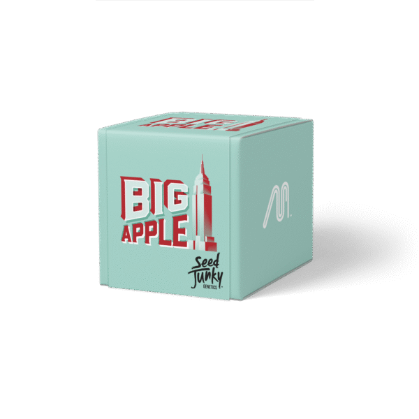 Cookies BIG APPLE BADDER concentrate
