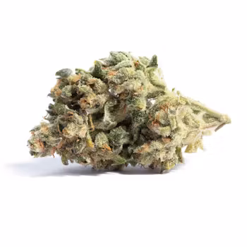 Acapulco Gold weed delivery NJ