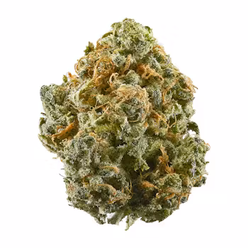 Blue Dream weed delivery NJ