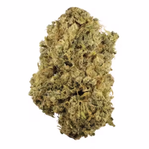 Durban Poison weed delivery NJ