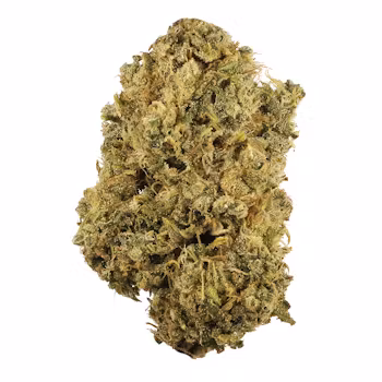 Durban Poison weed delivery NJ Durban Poison weed delivery NJ