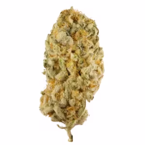 Jack Herer weed delivery NJ Jack Herer weed delivery NJ