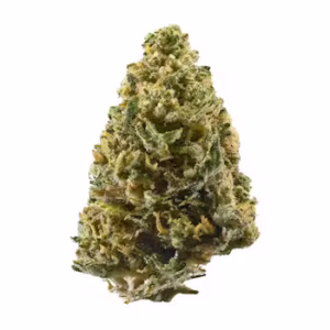 Northern Lights weed delivery NJ Northern Lights weed delivery NJ