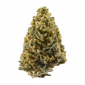 Northern Lights weed delivery NJ Northern Lights weed delivery NJ